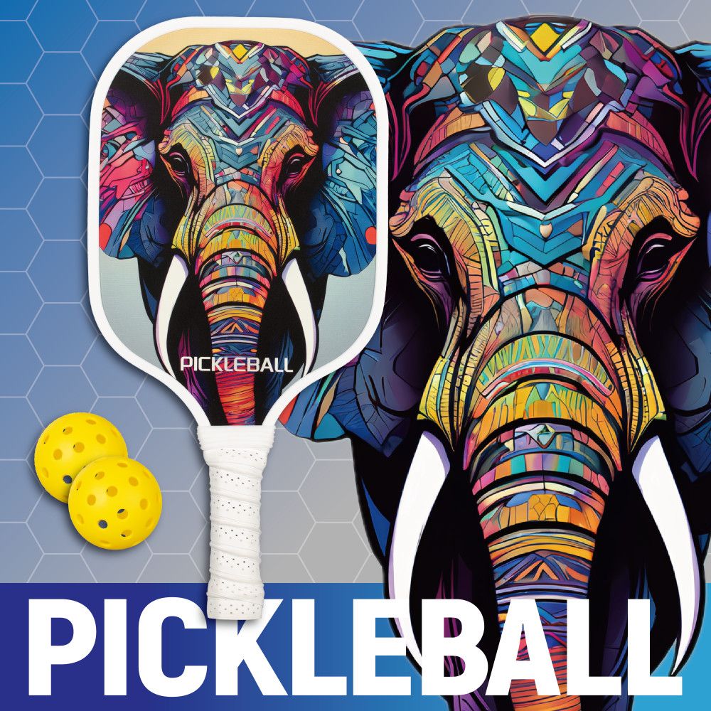 Pickleball-Paddles-Set Outdoor Sport Fiberglass Face PP Honeycomb Core